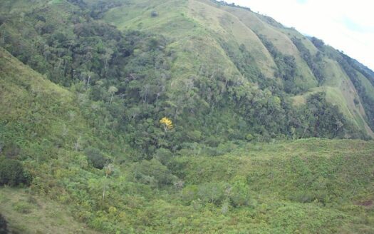 Parcela cerca de la Autopista Norte