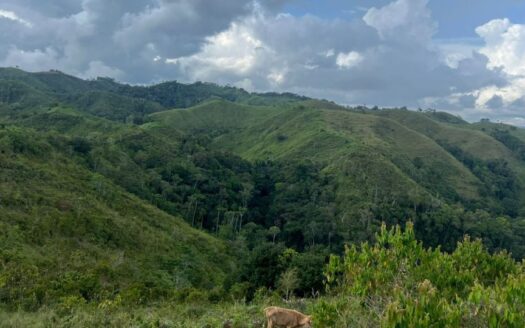 Parcela cerca de la Autopista Norte