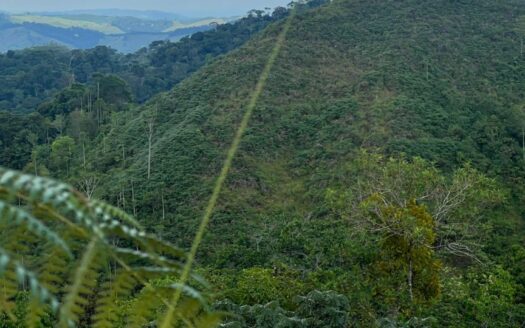 Parcela cerca de la Autopista Norte
