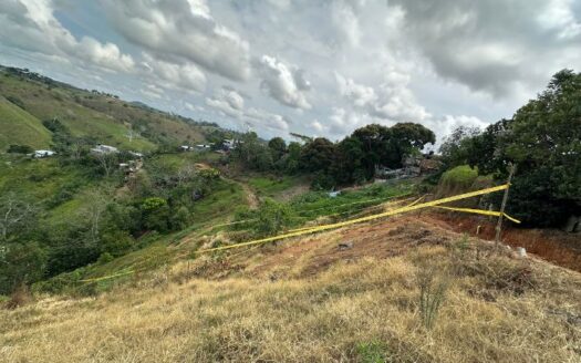 Lostes grandes y economicos