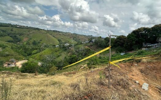 Lostes grandes y economicos