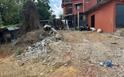 Lostes grandes y economicos