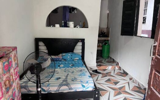 Propiedad central y grande