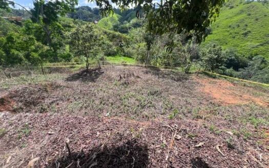 Lote grande en zona tranquila