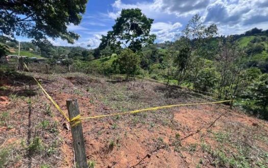 Lote grande en zona tranquila