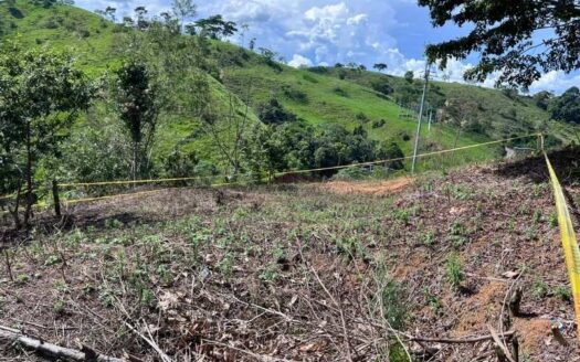 Lote grande en zona tranquila