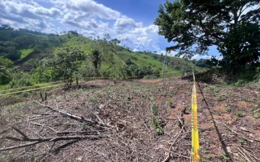 Lote grande en zona tranquila