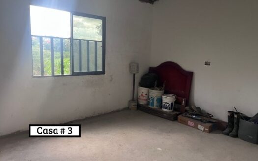 Propiedad Con Tres Casas y Patio Grande