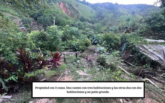 Propiedad Con Tres Casas y Patio Grande