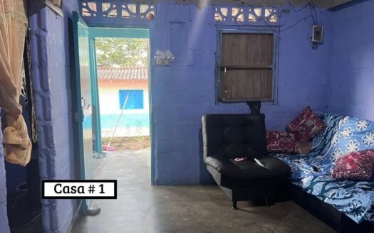 Propiedad Con Tres Casas y Patio Grande