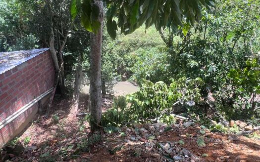 Casa Con Patio Grande a Bordo De Calle