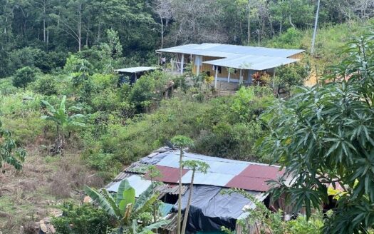 Casa Lote Con Terreno Grande