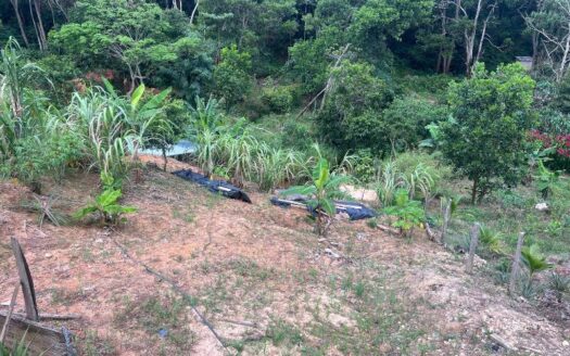 Casa Lote Con Terreno Grande