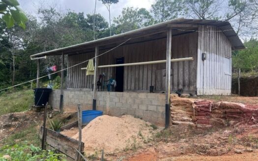 Casa Lote Con Terreno Grande