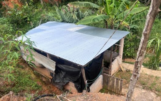 Casa Lote Con Terreno Grande