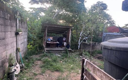 Propiedad central y grade