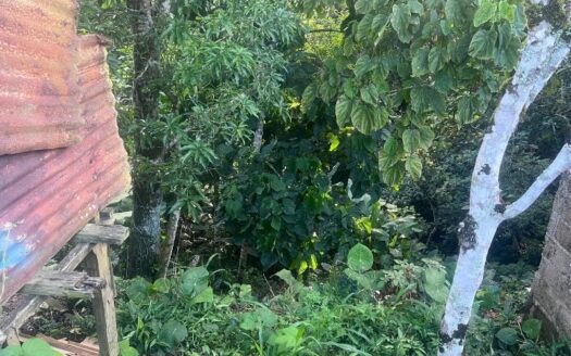 Propiedad central y grade