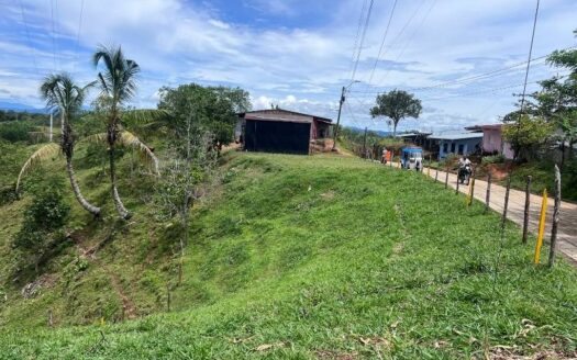 Lotes a bordo de calle