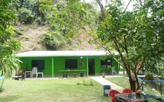 Propiedad campestre y comercial
