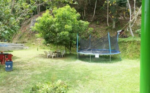 Propiedad campestre y comercial