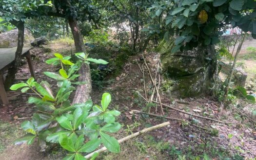 Propiedad con solar grande a bordo de calle