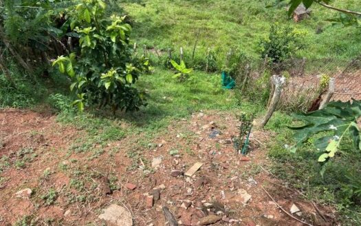 Casa con patio a bordo de calle