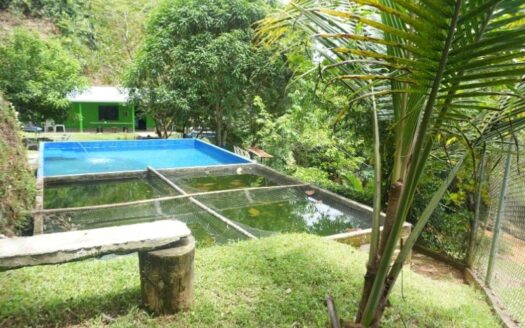 Propiedad campestre y comercial