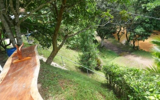 Propiedad campestre y comercial