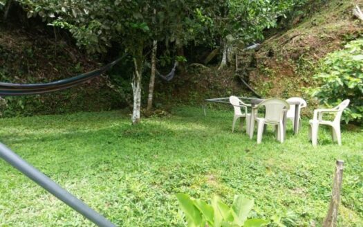 Propiedad campestre y comercial