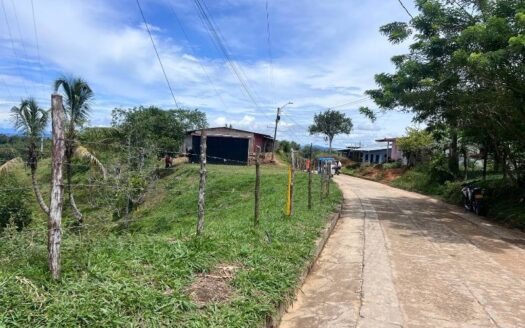 Lotes a bordo de calle