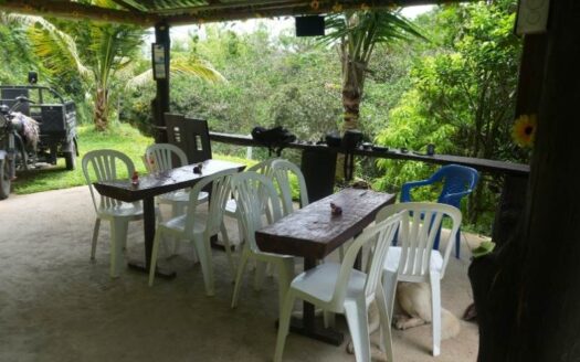 Propiedad campestre y comercial