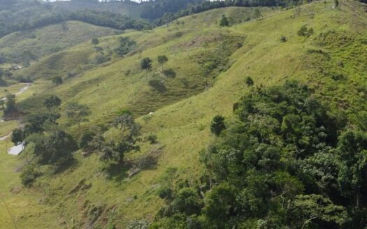 Finca con buen agua y grande en venta