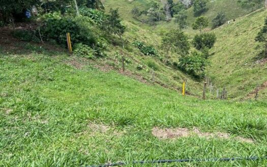 Lotes a bordo de calle