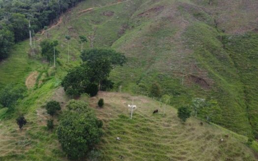 Finca a solo 40 minutos de Segovia