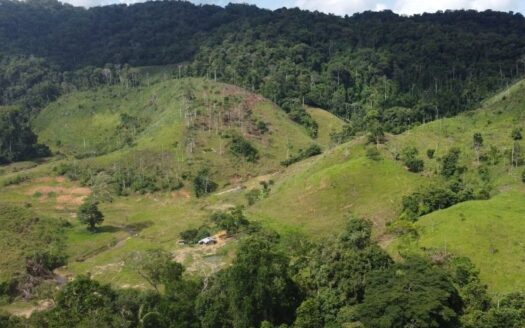 Finca con buen agua y grande en venta
