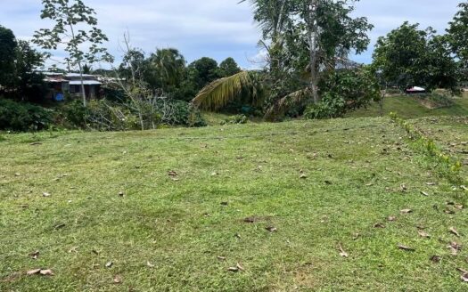 Lotes a bordo de calle