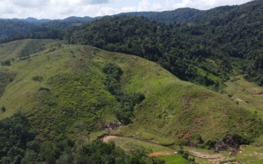 Finca con buen agua y grande en venta