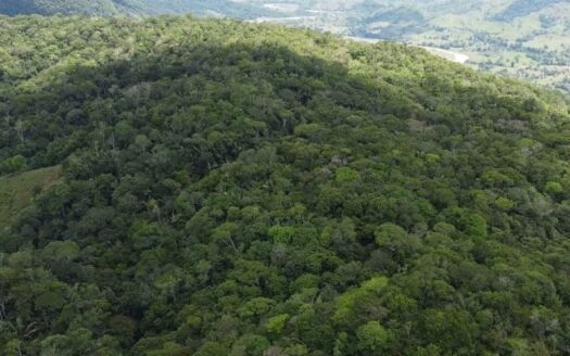 Finca a solo 40 minutos de Segovia