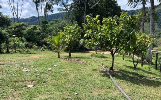 Propiedad campestre a borde de autopista platanares