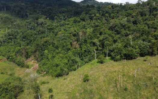 Finca con buen agua y grande en venta