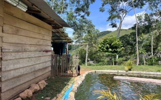 Propiedad campestre a borde de autopista platanares