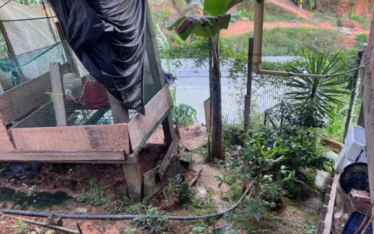 Casa Grande Con Patio Amplio