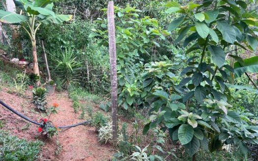 Casa Grande Con Patio Amplio