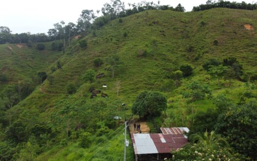 Finca económica y fértil