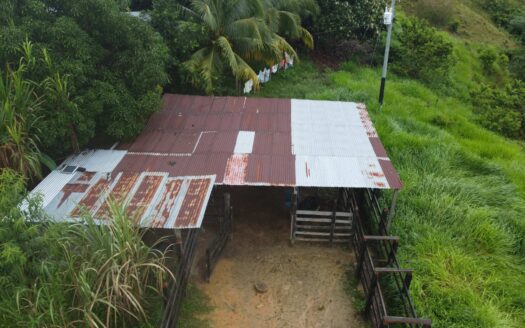 Finca económica y fértil