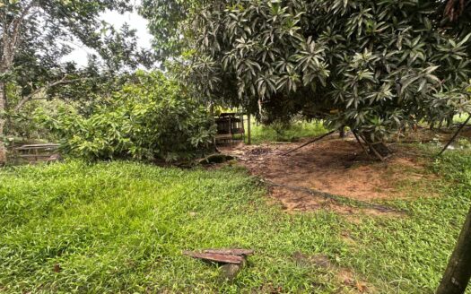 Finca económica y fértil