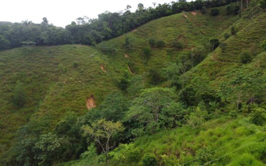 Finca económica y fértil