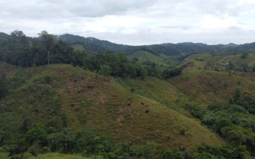 Finca económica y fértil