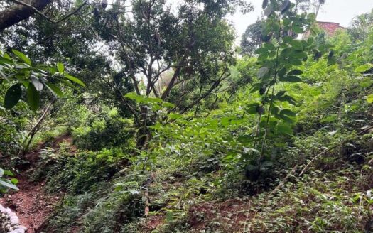 Propiedad con ubicación exclusiva y lote grande