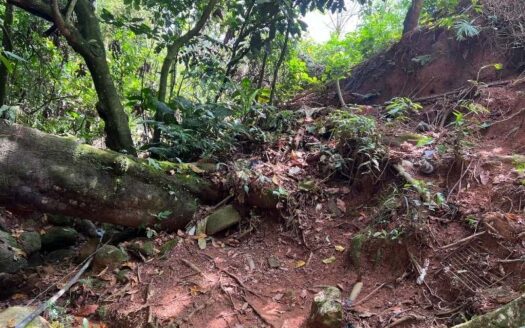 Propiedad con ubicación exclusiva y lote grande